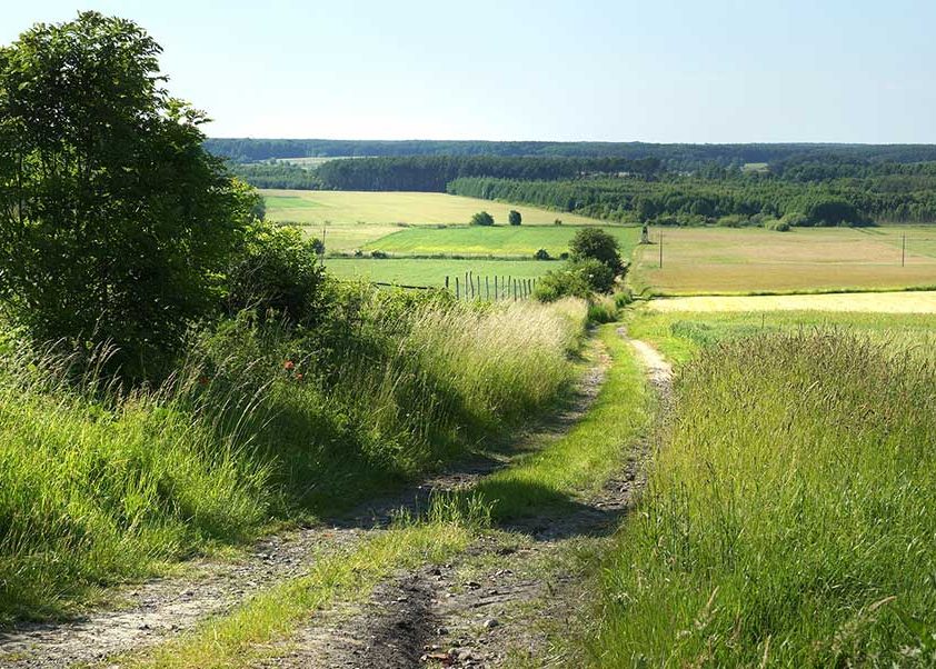 landscape